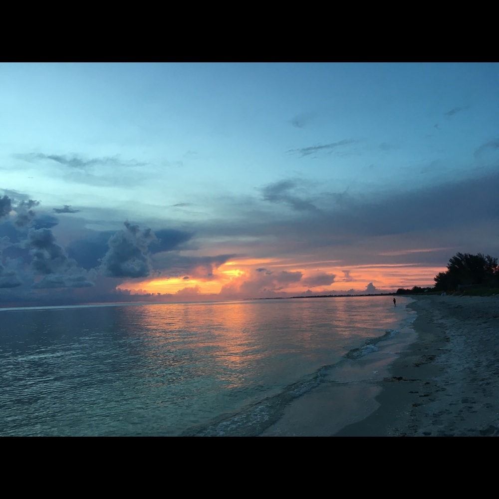 Meet your Posher, Karli